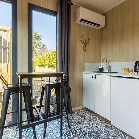 La Cigale Et La Fourmi Savoisienne - Apartment Aix-les-Bains