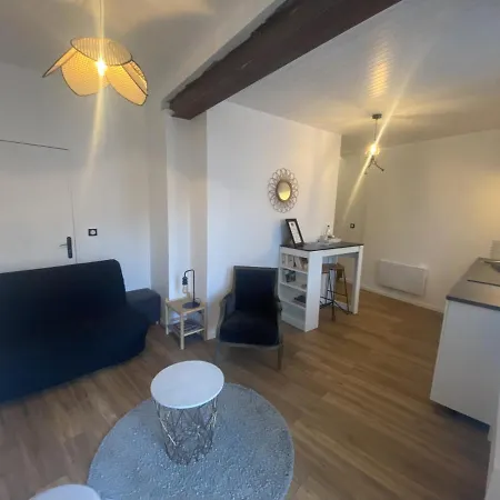 La Cigale Et La Fourmi Savoisienne - Apartment Aix-les-Bains