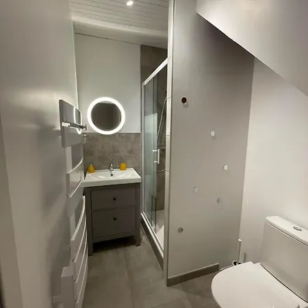 La Cigale Et La Fourmi Savoisienne - Apartamento *